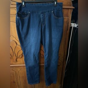 Women’s Plus Faded Glory Skinny Jegging in Size 18